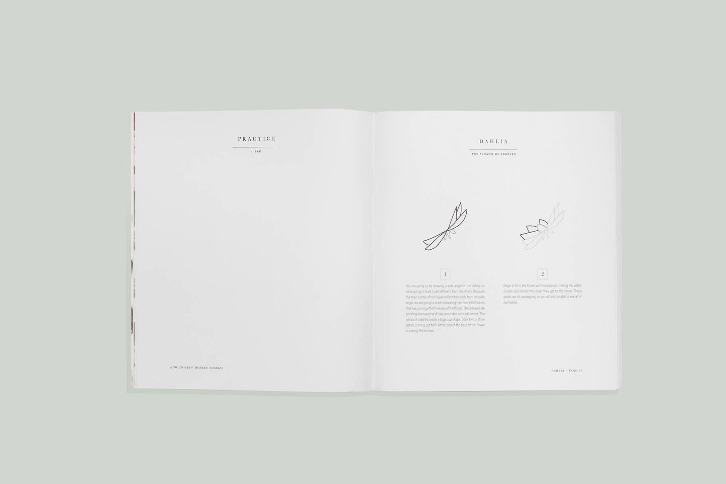 Spring Blooms How-To-Draw Book Art Bundle