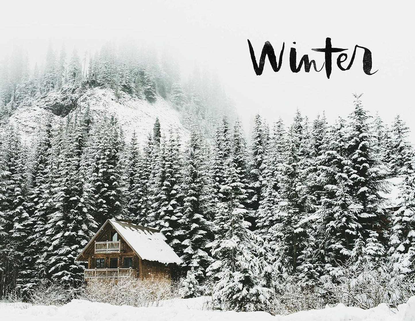 The 52 Lists Project (Botanical Pattern): A Guided Journal