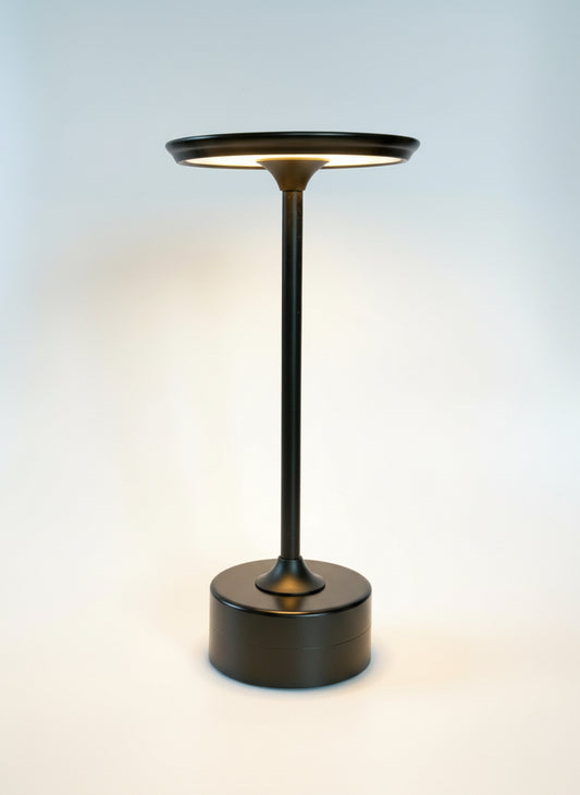 Portable Black Metal Lamp