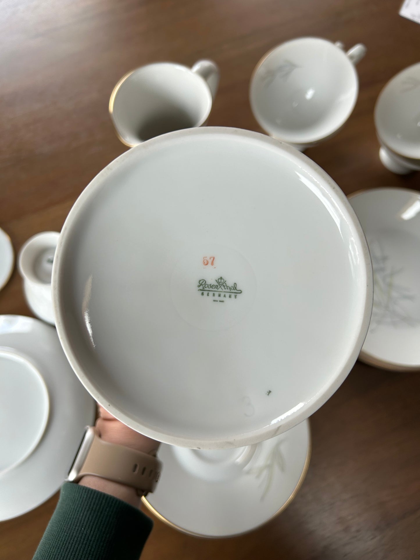 Vintage Rosenthal “Grasses” Porcelain Tea Set by Raymond Loewy (21 Pieces, Germany, 1950's)