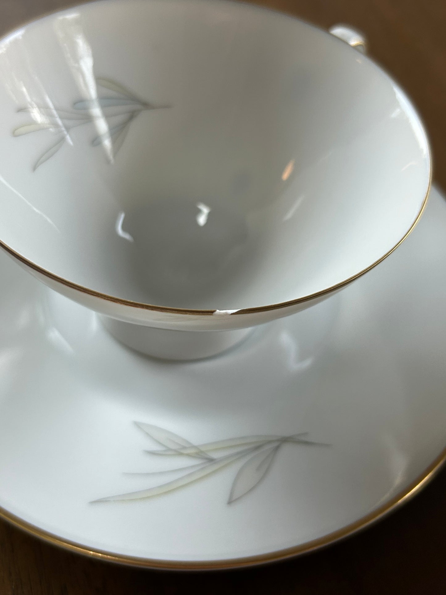Vintage Rosenthal “Grasses” Porcelain Tea Set by Raymond Loewy (21 Pieces, Germany, 1950's)