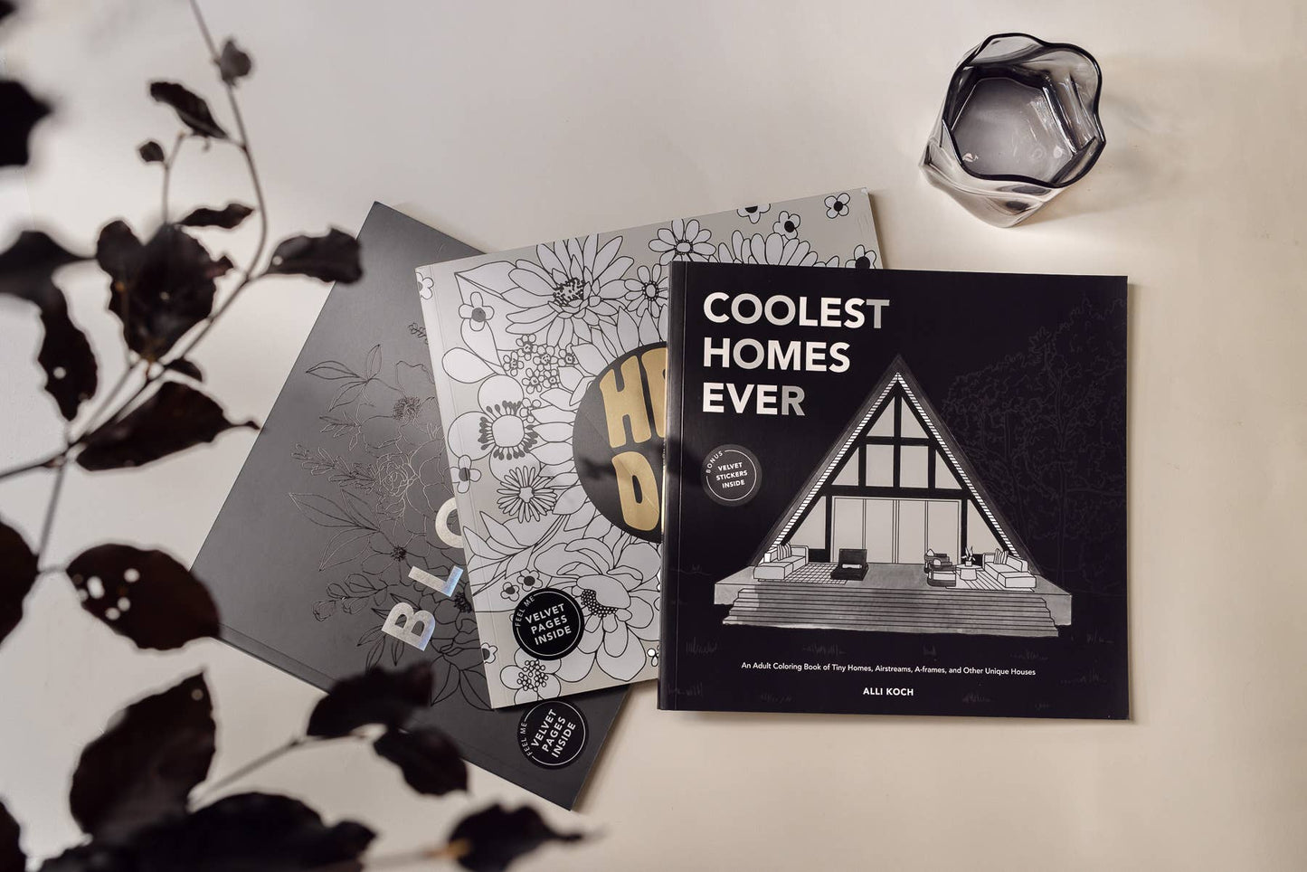 Coolest Homes Ever: An Adult Coloring Book