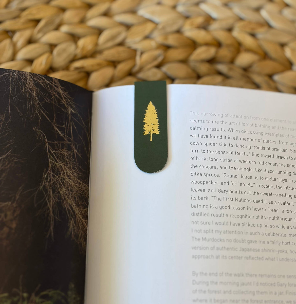 Blue Spruce Tree Gold Foil Magnetic Bookmark