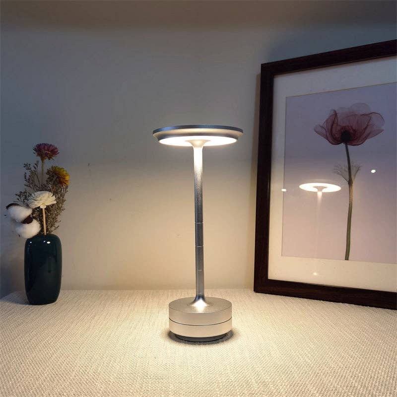 Portable Silver Metal Lamp