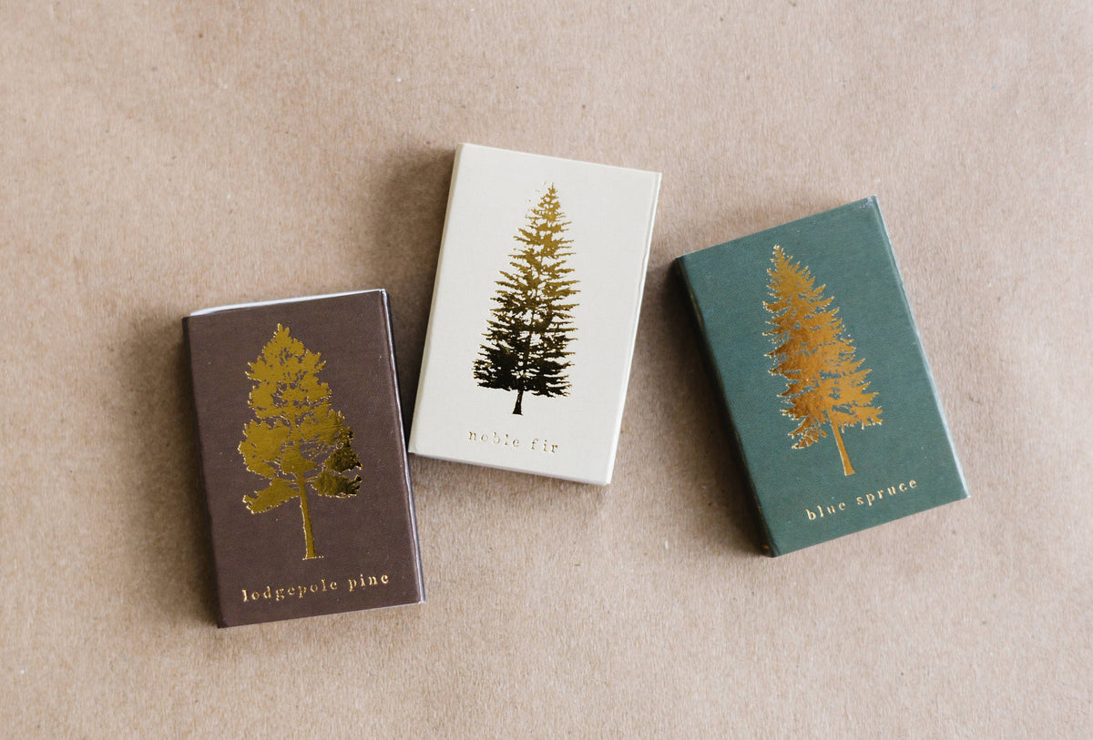 Lodgepole Pine Tree Matchbox | Tall Evergreen Matches